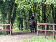 NH100923-80 - Nicky Henderson Stable Visit